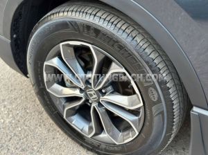Xe Honda CRV G 2021